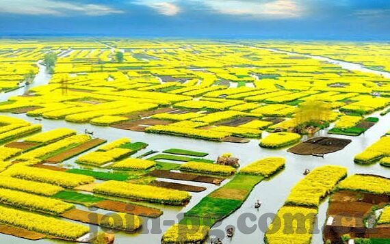 足球比分奥斯-足球比分奥斯，绿茵场上的数据交响曲